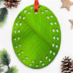 Banana Leaf Ornament (oval Filigree) by artworkshop