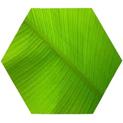 Banana Leaf Wooden Puzzle Hexagon by artworkshop