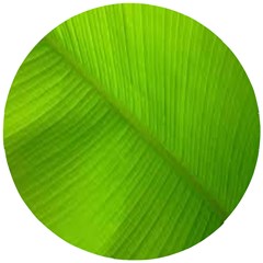 Banana Leaf Wooden Puzzle Round by artworkshop