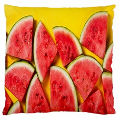 Watermelon Large Cushion Case (two Sides) by artworkshop