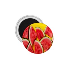 Watermelon 1 75  Magnets by artworkshop