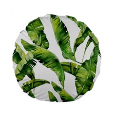 Sheets Tropical Plant Palm Summer Exotic Standard 15  Premium Flano Round Cushions by artworkshop