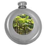 Bitter Melon Round Hip Flask (5 oz) Front