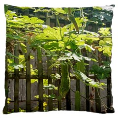 Bitter Melon Large Flano Cushion Case (one Side) by artworkshop