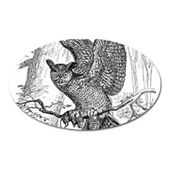 Owl-animals-wild-jungle-nature Oval Magnet by Jancukart