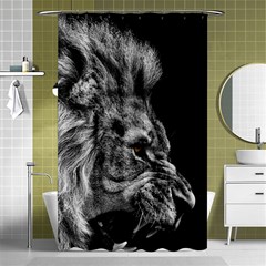 Angry Male Lion Shower Curtain 48  X 72  (small)  by Jancukart