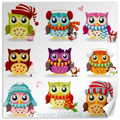 Cartoon-cute-owl-vector Canvas 16  X 16  by Jancukart