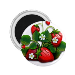 Strawberries-fruits-fruit-red 2 25  Magnets by Jancukart