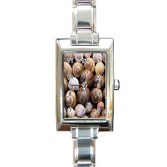 Snail Shells Pattern Arianta Arbustorum Rectangle Italian Charm Watch by artworkshop