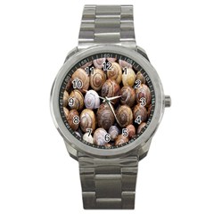 Snail Shells Pattern Arianta Arbustorum Sport Metal Watch by artworkshop