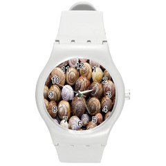 Snail Shells Pattern Arianta Arbustorum Round Plastic Sport Watch (m) by artworkshop