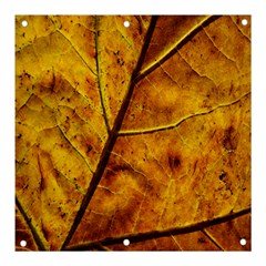 Leaf Leaf Veins Fall Banner And Sign 3  X 3  by artworkshop