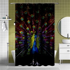 Beautiful Peacock Feather Shower Curtain 48  X 72  (small)  by Jancukart