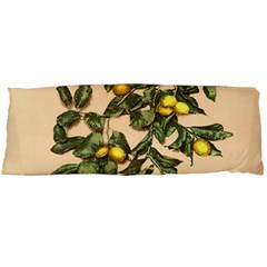 A Vintage Bunch Of Lemons Body Pillow Case (dakimakura) by ConteMonfrey