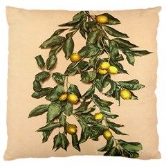 A Vintage Bunch Of Lemons Large Cushion Case (one Side) by ConteMonfrey