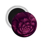 Fractal Blossom Flower Bloom 2.25  Magnets Front