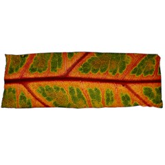 Leaf Veins Texture Autumn Fall Body Pillow Case (dakimakura) by Wegoenart