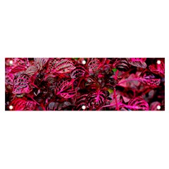 Red Leaves Plant Nature Leaves Flora Foliage Banner And Sign 6  X 2  by danenraven