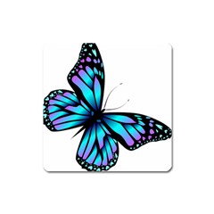 Blue And Pink Butterfly Illustration, Monarch Butterfly Cartoon Blue, Cartoon Blue Butterfly Free Pn Square Magnet by asedoi