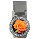 Color of Desire Money Clips (CZ)  Front