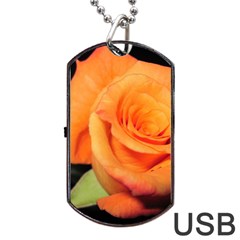 Color Of Desire Dog Tag Usb Flash (one Side) by tomikokhphotography