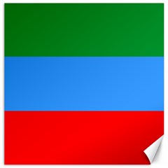 Dagestan Flag Canvas 12  X 12  by tony4urban