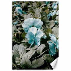 Flowers And Leaves Colored Scene Canvas 20  X 30  by dflcprintsclothing