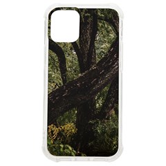 Botanical Motif Trees Detail Photography Iphone 12 Mini Tpu Uv Print Case	 by dflcprintsclothing