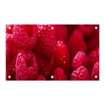 Raspberries Banner and Sign 5  x 3  Front