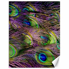 Green Purple And Blue Peacock Feather Canvas 12  X 16  by Jancukart