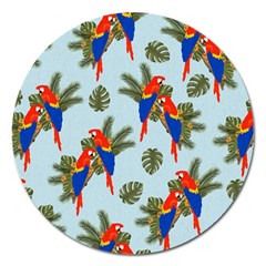 Birds Animals Nature Background Magnet 5  (round) by Ravend