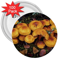 Orange Mushrooms In Patagonia Forest, Ushuaia, Argentina 3  Buttons (100 Pack)  by dflcprintsclothing