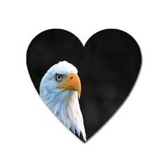 Bird Heart Magnet by artworkshop