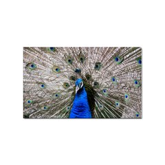 Peacock Bird Animal Feather Nature Colorful Sticker Rectangular (10 Pack) by Ravend