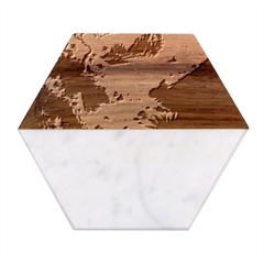 Tropical Paradise Beach Ocean Shore Sea Fantasy Marble Wood Coaster (hexagon)  by Pakemis