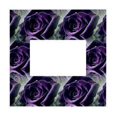 Purple Flower Rose Petals Plant White Box Photo Frame 4  X 6  by Jancukart