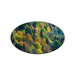 Forest Trees Leaves Fall Autumn Nature Sunshine Sticker (oval) by Ravend