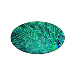 Green And Blue Peafowl Peacock Animal Color Brightly Colored Sticker (oval) by Semog4