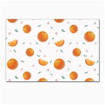 Oranges Postcard 4 x 6  (Pkg of 10) Front