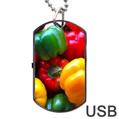 Colorful Capsicum Dog Tag Usb Flash (one Side) by Sparkle