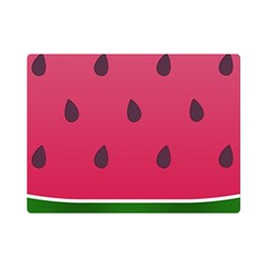 Watermelon Fruit Summer Red Fresh Food Healthy Premium Plush Fleece Blanket (mini) by pakminggu