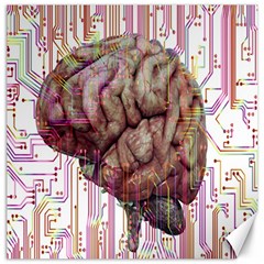 Brain Think Neurons Circuit Canvas 16  X 16  by pakminggu