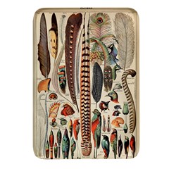 Feathers Birds Vintage Art Rectangular Glass Fridge Magnet (4 Pack) by Vaneshart