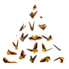 Butterfly Butterflies Insect Swarm Wooden Puzzle Triangle by 99art