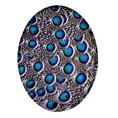 Peacock Pattern Close Up Plumage Oval Glass Fridge Magnet (4 Pack) by Celenk