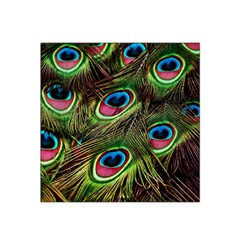 Peacock Feathers Color Plumage Satin Bandana Scarf 22  X 22  by Celenk