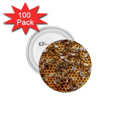 Honey Bee Bees Insect 1 75  Buttons (100 Pack)  by Ravend