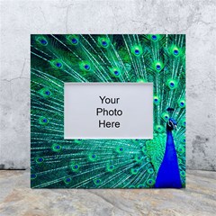 Green And Blue Peafowl Peacock Animal Color Brightly Colored White Box Photo Frame 4  X 6  by uniart180623