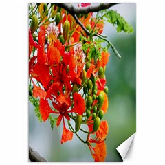 Gathering Sping Flowers Wallpapers Canvas 20  X 30  by artworkshop