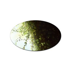 Branch Plant Shrub Green Natural Sticker (oval) by Grandong